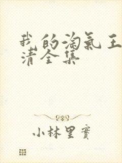 我的淘气王子高清全集