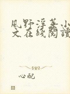 风野浮华小说全文在线阅读