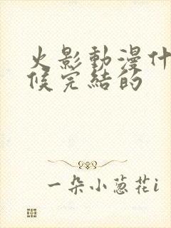 火影动漫什么时候完结的