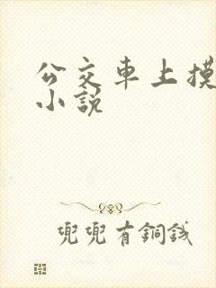 公交车上摸女人小说