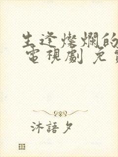 生逢灿烂的日子 电视剧 免费观看封面