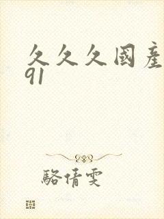 久久久国产精品91