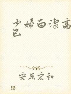 少妇白洁高义王已封面