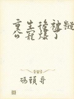 重生后被糙汉老公宠爆了