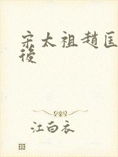 宋太祖赵匡胤皇后封面