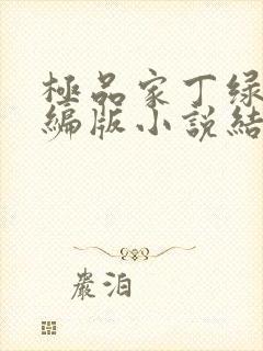 极品家丁绿帽改编版小说结局徐芷晴