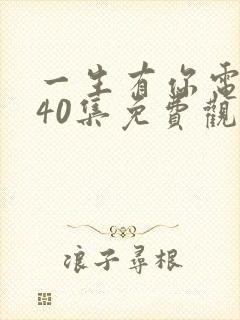 一生有你电视剧40集免费观看