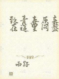 致青春原来你还在这里网盘