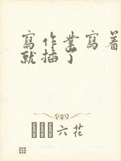 写作业写着写着就插了封面