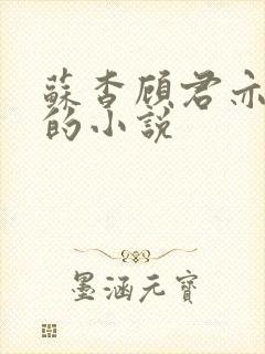 苏杳顾君亦一样的小说