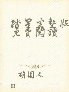 踏星完整版小说免费阅读封面