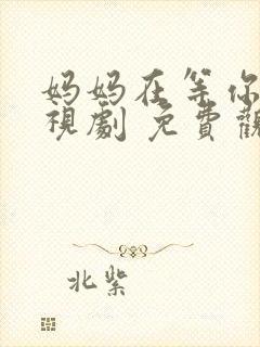 妈妈在等你 电视剧 免费观看