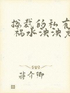 总裁的私有宝贝 祸水泱泱免费阅读