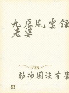 九辰风云录男主老婆封面