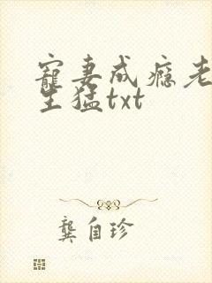 宠妻成瘾老公太生猛txt封面