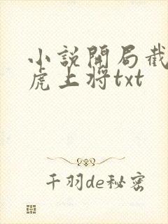 小说开局截胡五虎上将txt