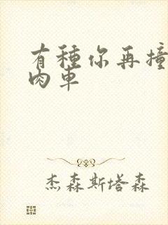 有种你再撞一下肉车