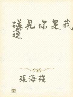 碰见你是我的幸运