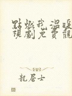 点燃我温暖我电视剧免费观看封面