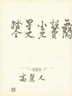 踏星小说无弹窗全文免费阅读封面