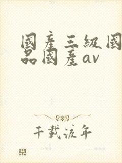 国产三级国产精品国产av