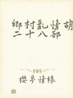 乡村乱情胡秀英二十八部封面