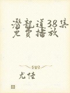 潜龙道38集全免费播放