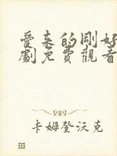 爱来的刚好电视剧免费观看哦封面