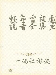 轻年电视剧在线观看全集免费播放