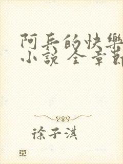 阿兵的快乐生活小说 全章节阅读免费