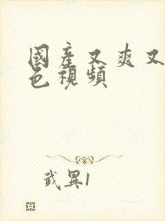 国产又爽又黄又色视频