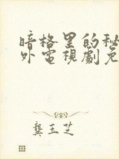 暗格里的秘密番外电视剧免费观看封面