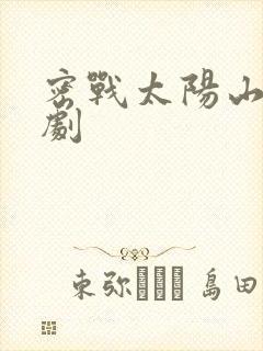 密战太阳山电视剧封面