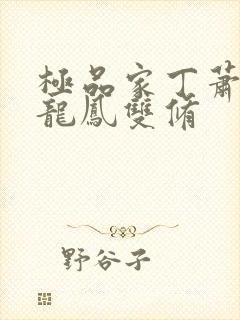 极品家丁萧夫人龙凤双修封面