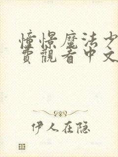 憧憬魔法少女免费观看中文版全集