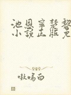 池恩宁楚黎川的小说正版免费阅读