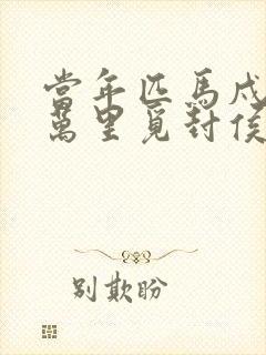 当年匹马戍梁州万里觅封侯