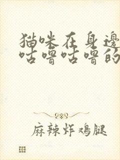 猫咪在身边发出咕噜咕噜的声音