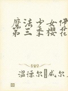 魔法少女伊莉雅第三季樱花动漫