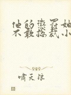 他的惩罚她再也不敢总裁小说