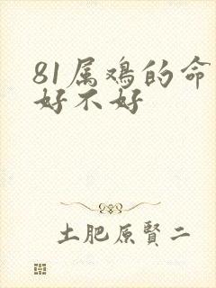 81属鸡的命运好不好