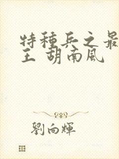 特种兵之最强兵王 胡南风