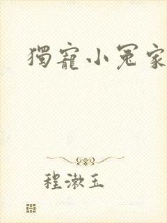 独宠小冤家封面