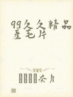 99久久精品国产毛片封面