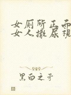 女厕所正面偷拍女人撒尿视频