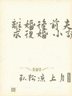 离婚后前夫哭着求复婚 小说完整