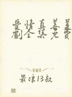 爱情真善美电视剧全集免费观看