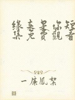 缘来是你短剧全集免费观看高清