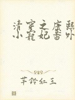 清穿之康熙家的小宠妃番外