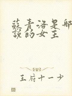 苏青洛是哪部小说的女主封面